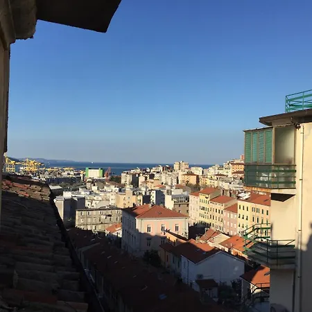 Cacatsu Apartman Trieszt
